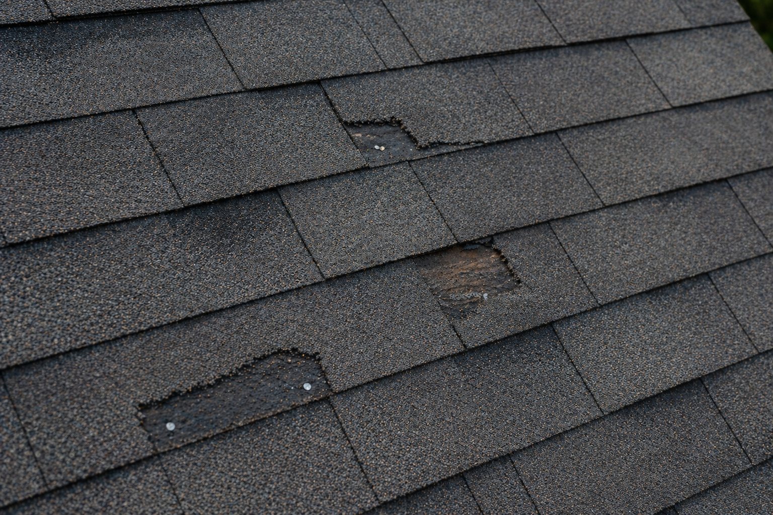 Roof maintenance inspection